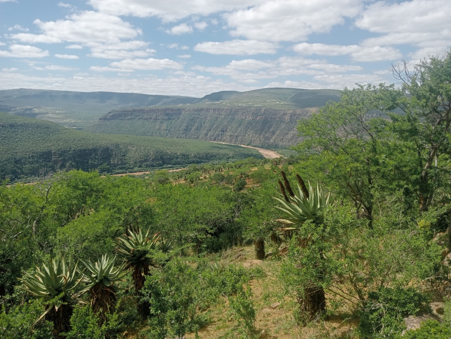 0 Bedroom Property for Sale in Stutterheim Rural Eastern Cape